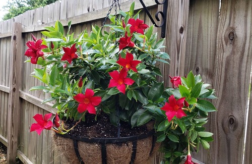 Selma Apartment | Beautiful Mediterranean studio apt with private patio