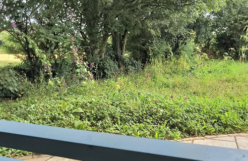 Ballyvaughan Cabin | Beautiful orchard cabin near ballyvaughan in Clare.