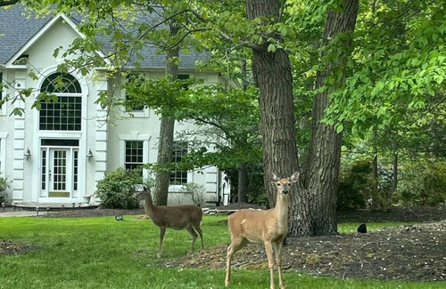 Tabernacle Villa | Beautiful Spacious 4-bedroom villa in welcoming Medford/Southampton