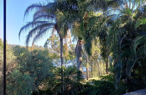 Tannum Sands Apartment | Beautifully appointed Riverside Apartment with views near to river and beach.