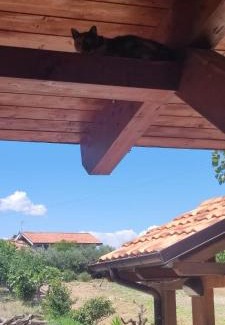 Vasto House | Bed and Bike