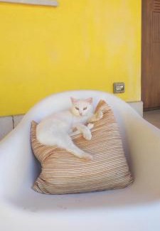 Vasto House | Bed and Bike