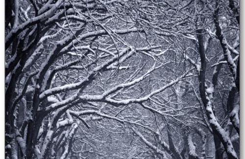 Kikinda Bed & Breakfast | Bed&Breakfast INTERMEZZO CAFFE