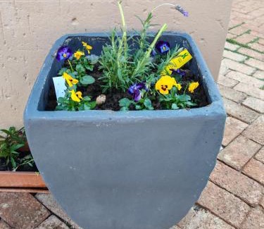 Waverley House | BEE-autiful Stay SC Garden Cottage