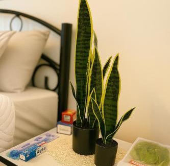 Ma'an Governorate House | Beit Ahlam