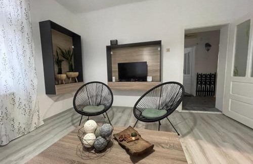 Negotin Villa | BELA VILA