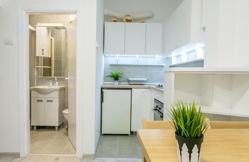 Stari Grad Apartment | Belgrade Renting Down apartment