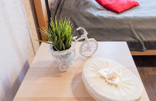 Nizhniy Novgorod City Centre Apartment | Belinskogo, 64