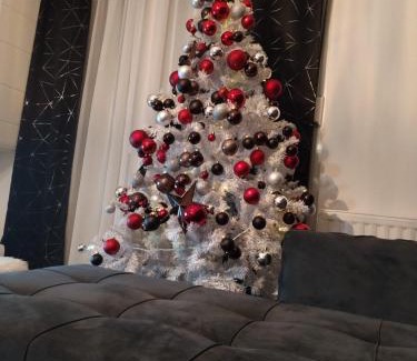 Mladenovac Apartment | Bella apartman