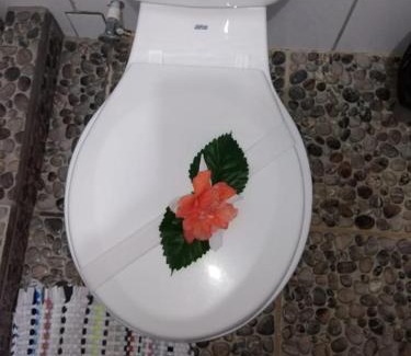 Drake Bay Hotel | Bella Vista Corcovado