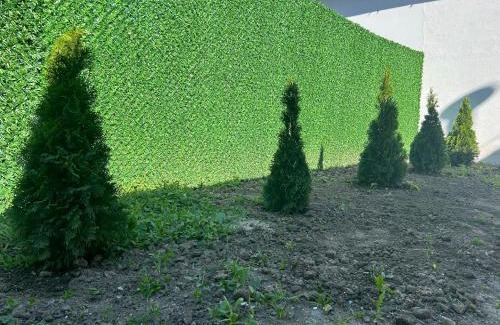 Vojvodina Apartment | Belle apartmani