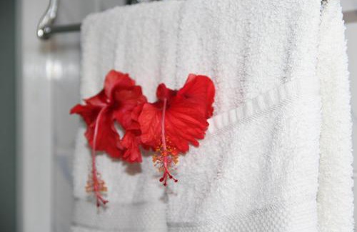 La Digue Bed & Breakfast | Belle Des Iles