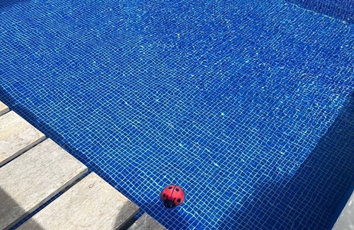 Punta Cana Apartment | Bello Apartamento con Piscina Privada en Cap. Cana