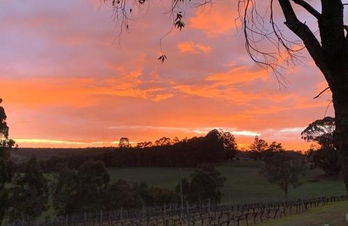 Kangaroo Gully House | Belmira Vines Private Vineyard Escape!