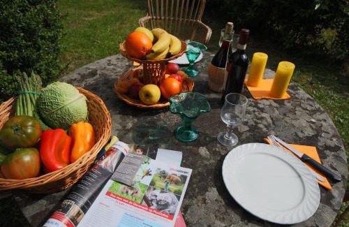 Petrognano House | Belvilla by OYO Casina del Forno