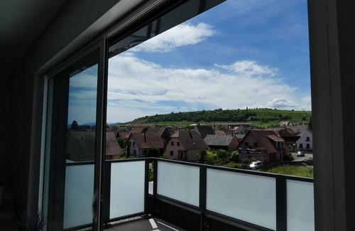 Bennwihr Apartment | BENNWIHR-ALSACE ▶️entre Riquewihr and Kaysersberg near COLMAR 🎄PROMO NOËL