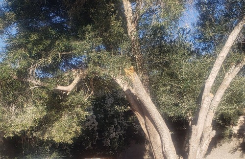 Taghazout Villa | Berber riad with private pool AGADIR TAGHAZOUT