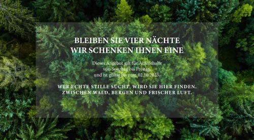 Baerenburg Hotel | Berghotel Friedrichshöhe - Sauna, Pool & Natur