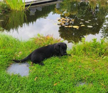 Filipstad Bed & Breakfast | Bergsmansgårdens Gästhus