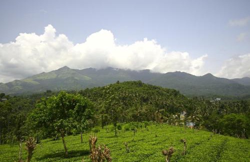 Kunnathidavaka Apartment | Besrauma Vythiri