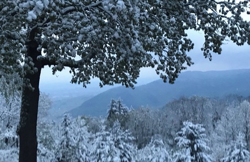 Trois-Epis Apartment | Best View Studio