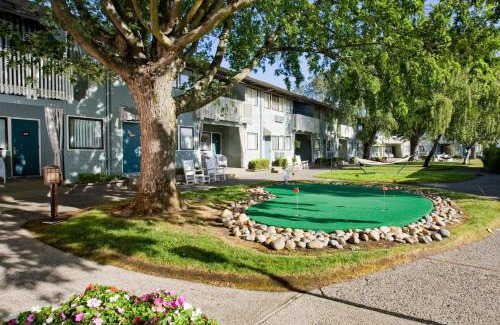 Corte Madera Hotel | Best Western Corte Madera Inn