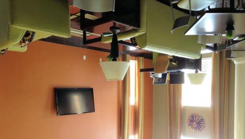 New Braunfels Hotel | Best Western Inn & Suites New Braunfels