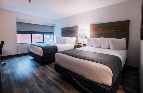Waterloo Hotel | Best Western Plus Executive Residency Waterloo & Cedar Falls