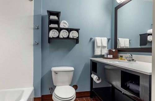 Odessa Hotel | Best Western Plus North Odessa Inn & Suites