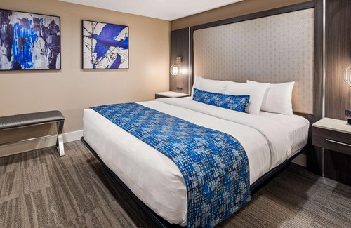 Greenville - Spartanburg Hotel | Best Western Plus Roper Mountain Road Inn & Suites