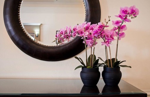 Salinas Hotel | Best Western Plus Salinas Valley Inn & Suites