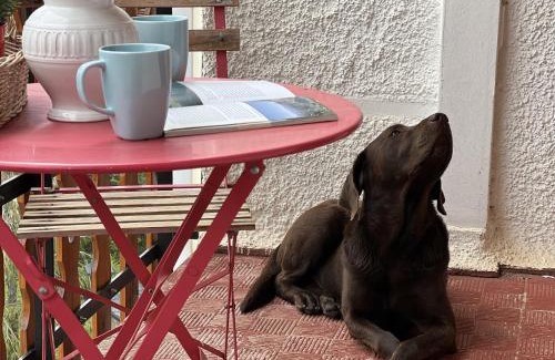 Formigal Apartment | Betato ✪ Terraza, WiFi & trastero · Pirineos360