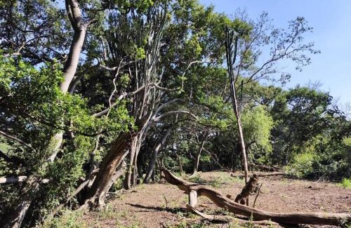 Hartbeespoort House | Bethesda Mountain Lodge