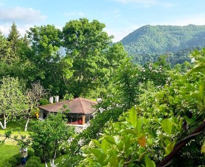 Geyve Apartment | Beyaz Köşk Geyve