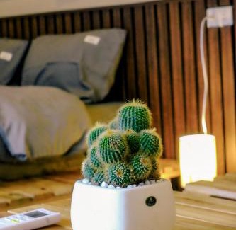 Moc Chau Hotel | BG Stone Homestay