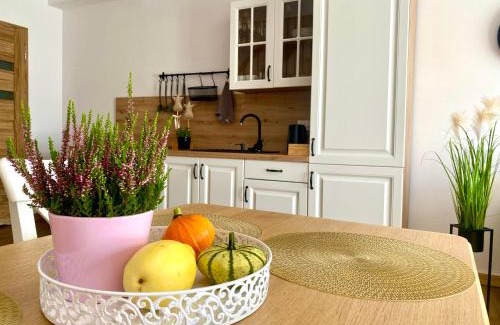 Polanczyk Apartment | Bieszczadzkie Siedlisko