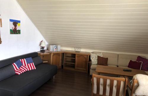 Bad Mitterndorf Apartment | Big apartment, 72m2, nature paradise, swiming pool, table tennis, therme