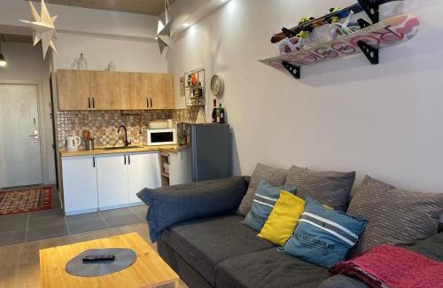 Kazbegi Apartment | Big apartment for big company