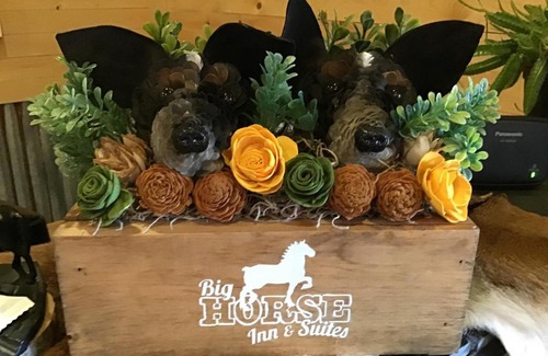 Lewistown Hotel | Big Horse Inn and Suites