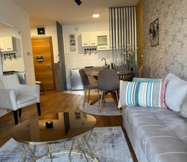 Grbavica Apartment | Big Star apartman