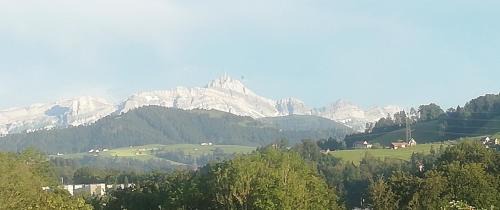 St. Gallen Apartment | Billenberghof