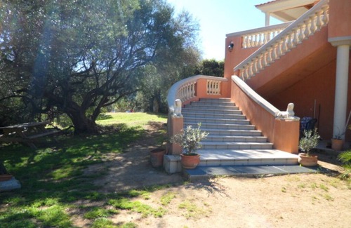 Sartene Cottage | Biodynamic vineyard of sartenais