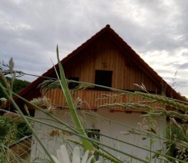 Fotschach House | Bioferienhaus Muster - Dominkusch