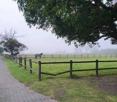 Berea Apartment | bird haven self catering