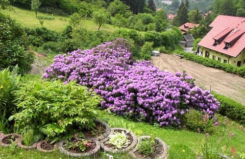 Stolberg House | Birkenhain