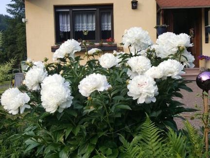 Stolberg House | Birkenhain