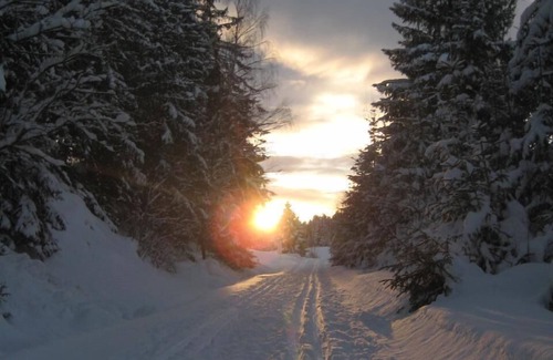 Haidmuhle Apartment | Birkenhain holiday flat