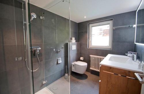 Graechen Apartment | Bishorn, Chalet Wiedersehn