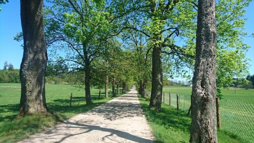 Cesky Rudolec House | Bison Ranch
