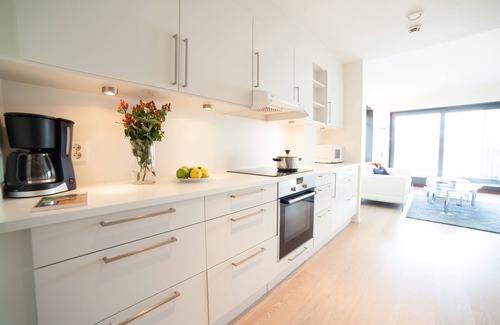 Bjørvika Apartment | BJØRVIKA APARTMENTS, Opera Area, Oslo city center